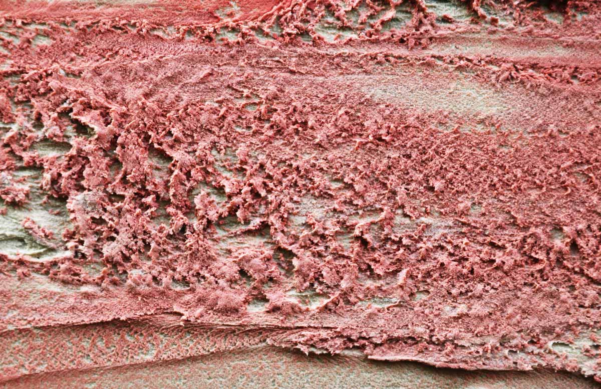 Abstract Texture 3 Preview