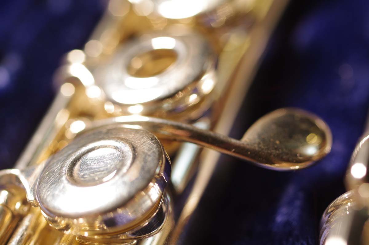 Flute 11 Web
