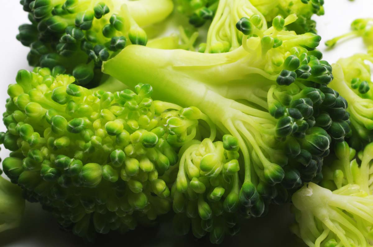 Macro Broccoli Lowres