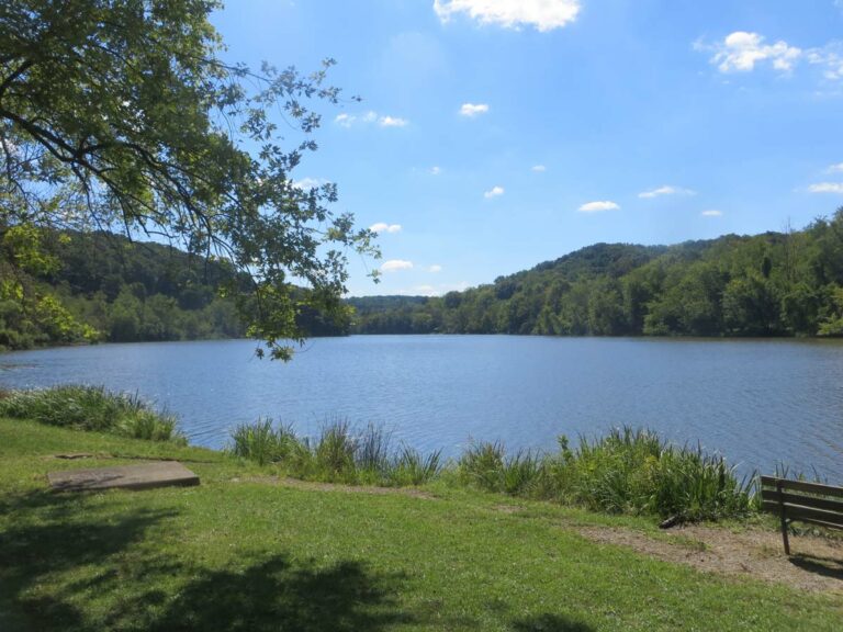 North Park Lake Bench Webres