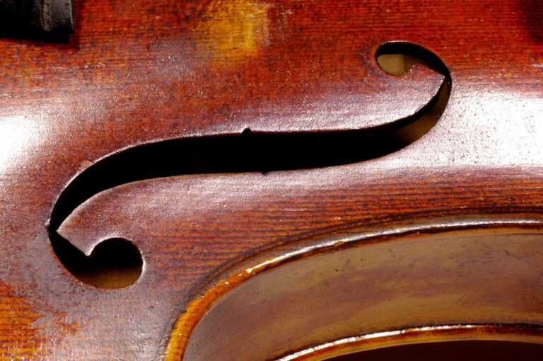 Violin F Hole Web