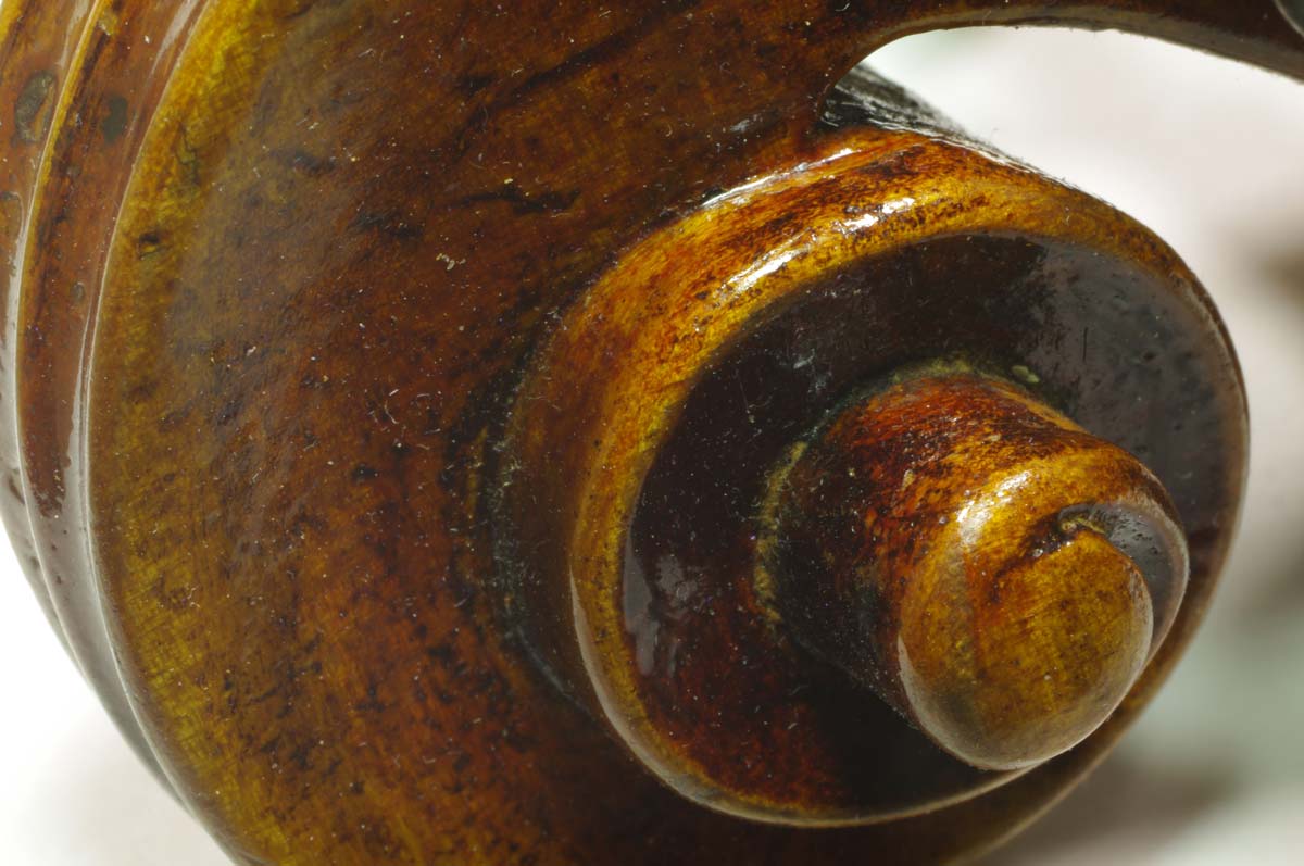 Violin Headstock Macro Web