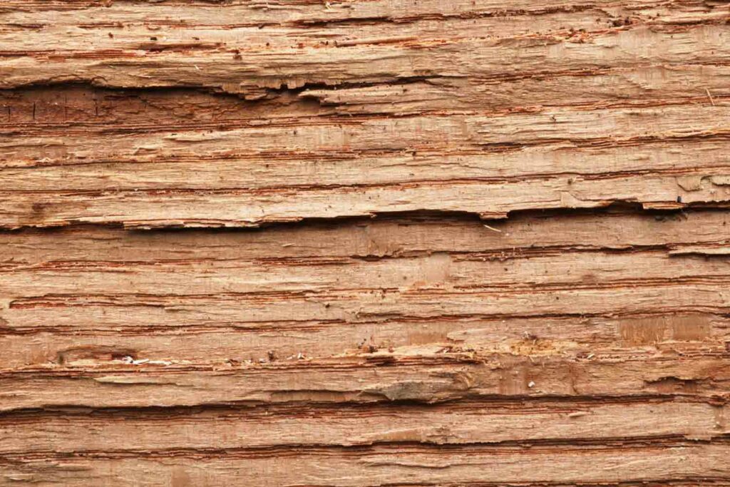 Woodmacro2