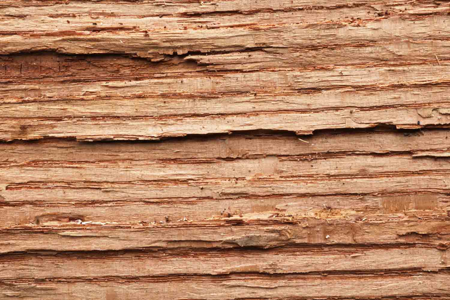 Woodmacro2