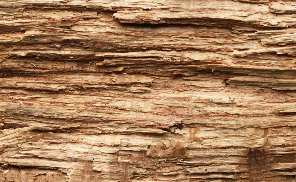 Woodmacro3