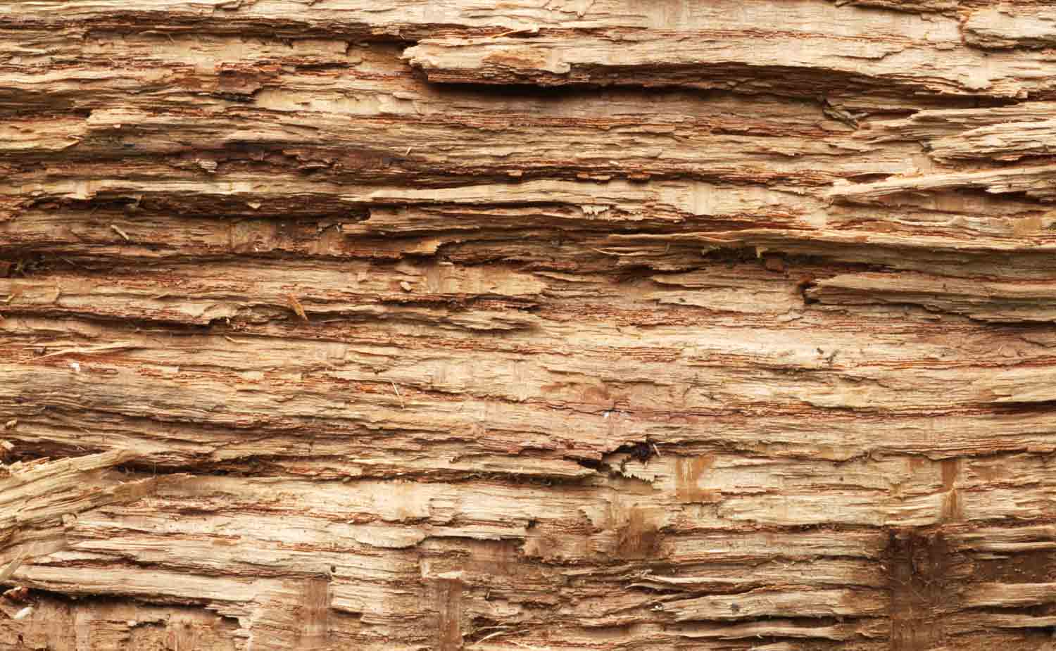 Woodmacro3