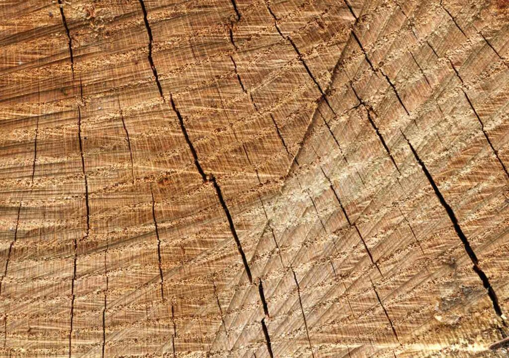 Woodmacro4