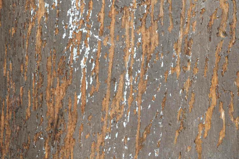 Wood texture 3