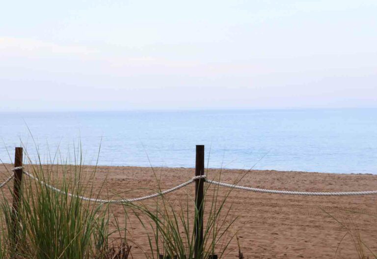 Beachfence 1.jpg