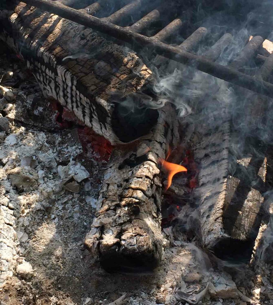 Burning Log Smoke 1.jpg