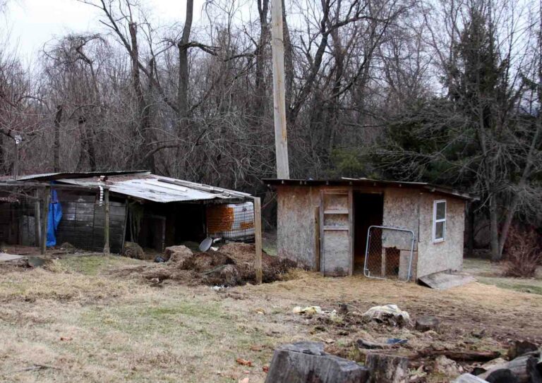 Old Run Down Shack 1.jpg