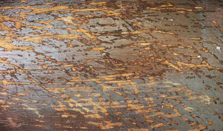 Scratchedwoodtexture 1.jpg