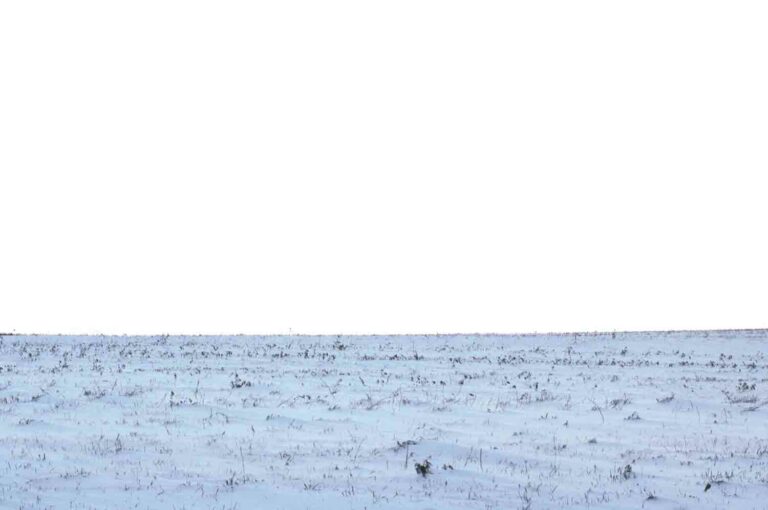 Snow Covered Field 1.jpg