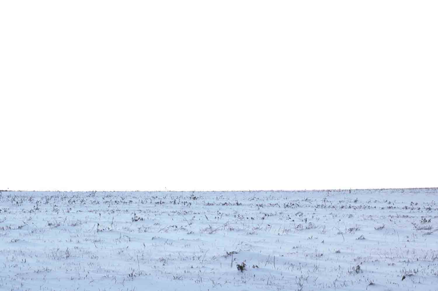 Snow Covered Field 1.jpg