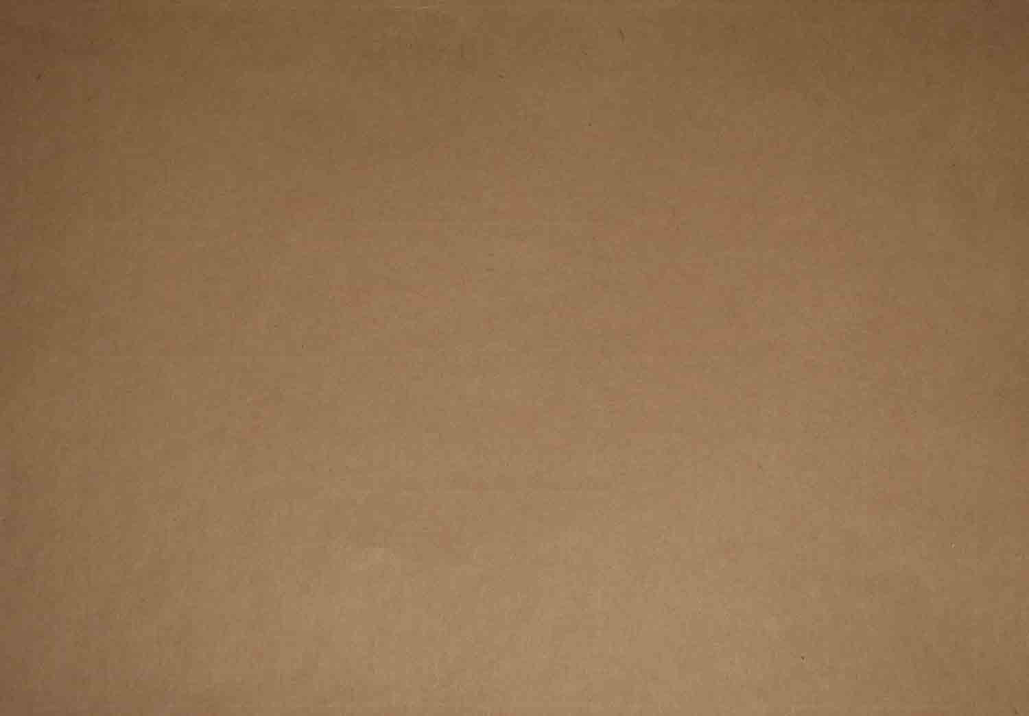 Antique Paper Texture01