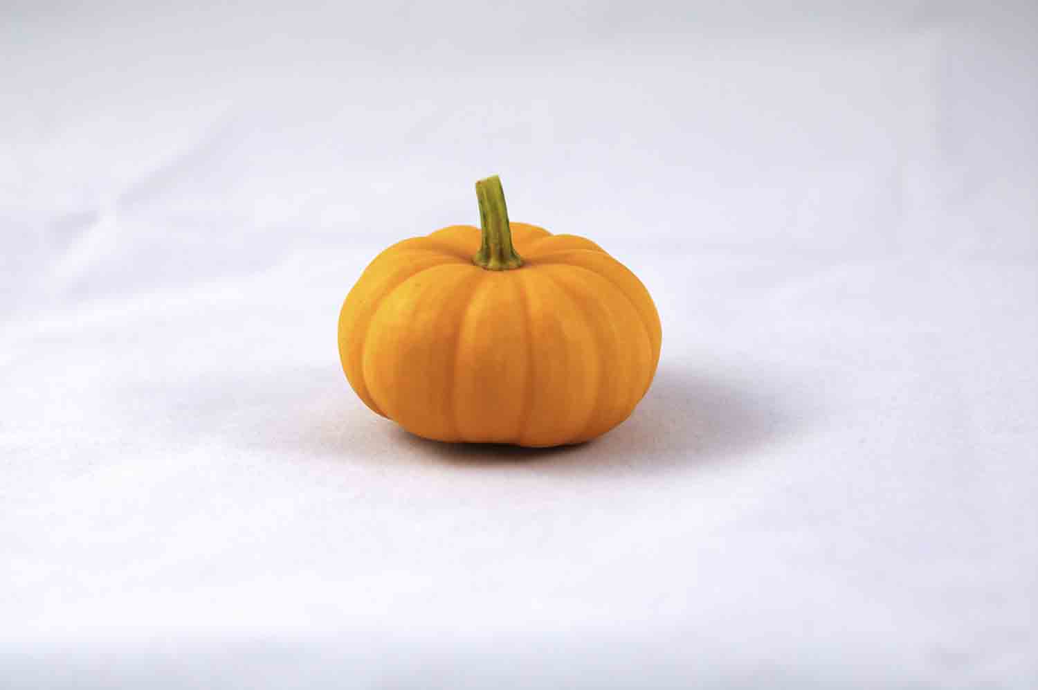 Jack Be Little Pumpkin Webres
