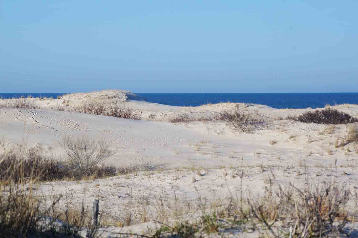 Sanddunesocean