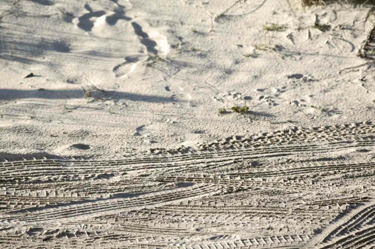 Sandtiretracks