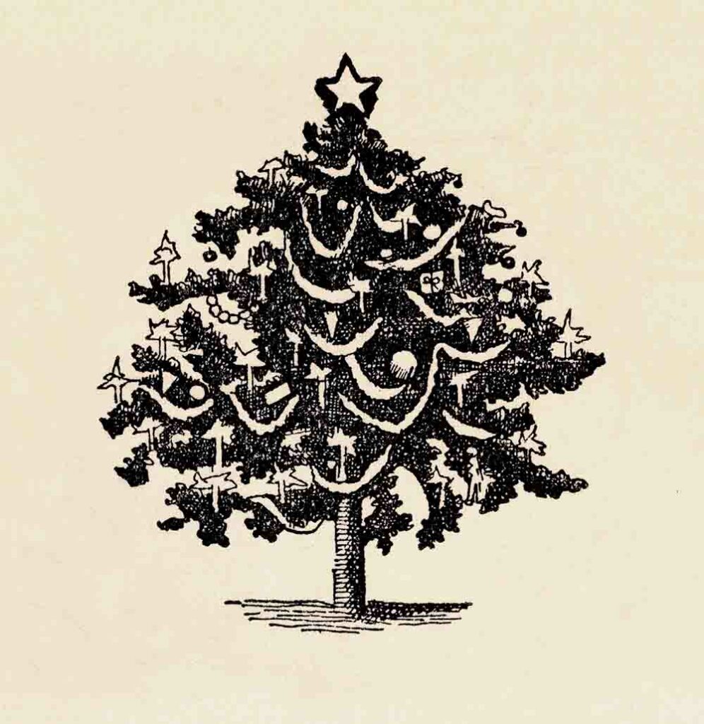 Christmas Tree Illustration Ephemera