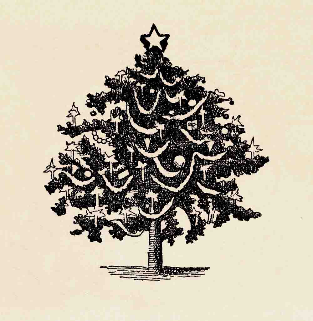 Christmas Tree Illustration Ephemera