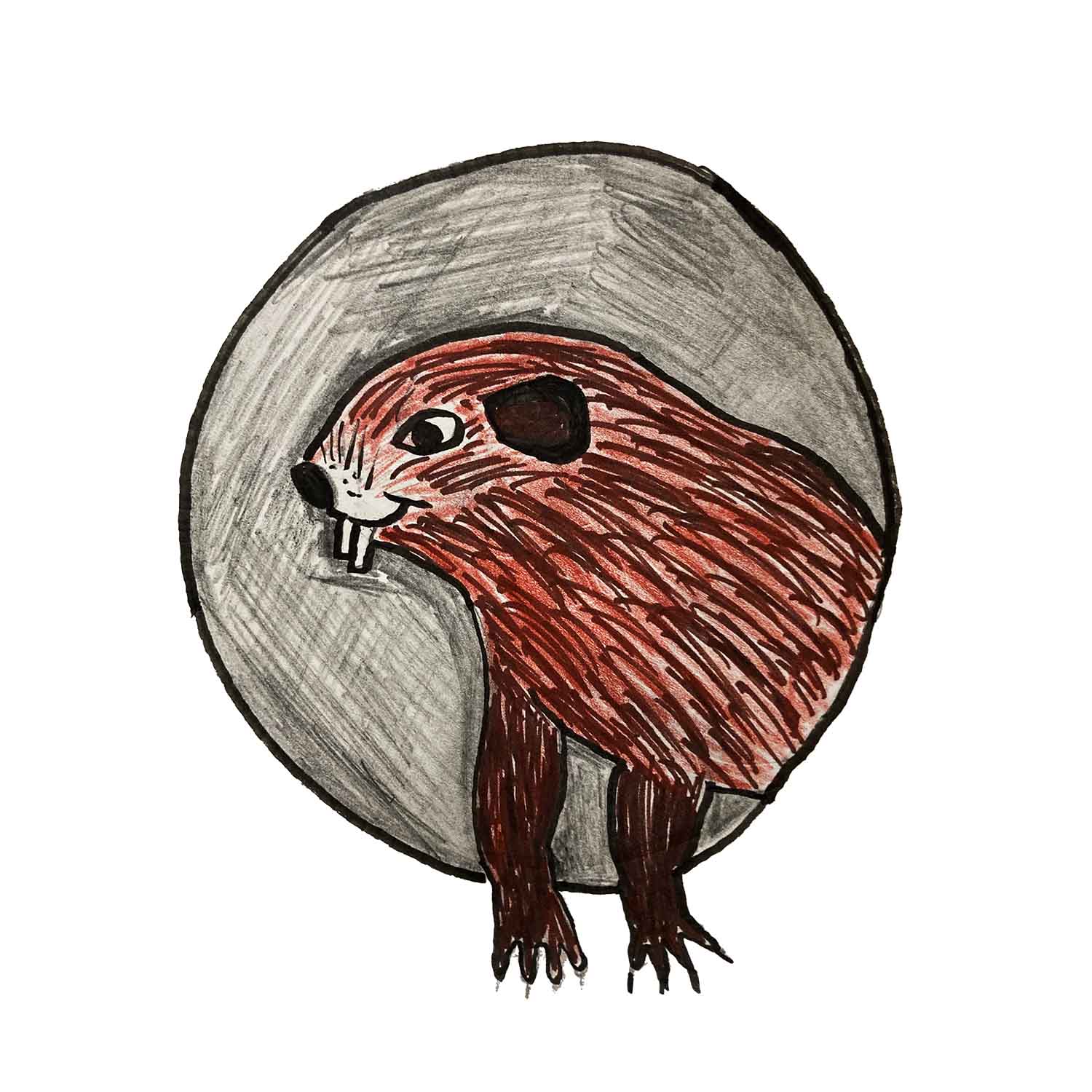 Hand Drawn Groundhog Illustration Web
