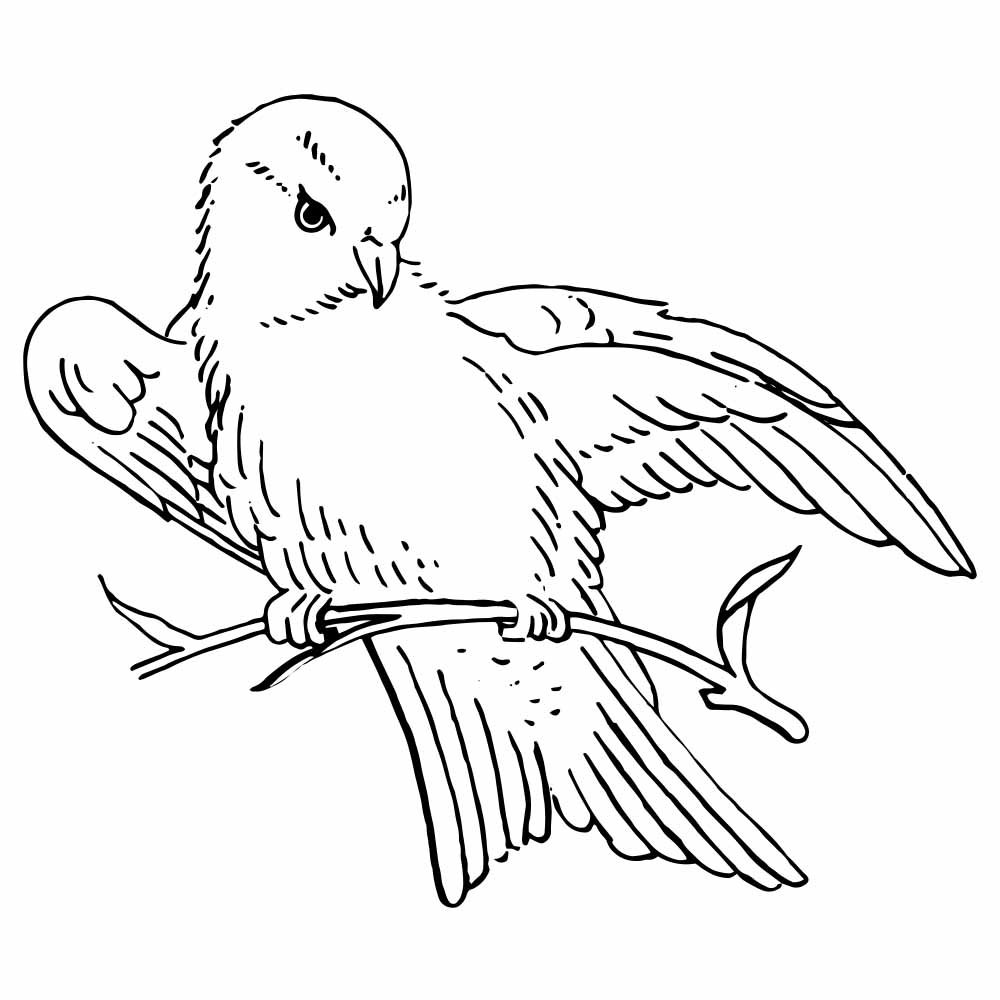 Bird2 Webpreview