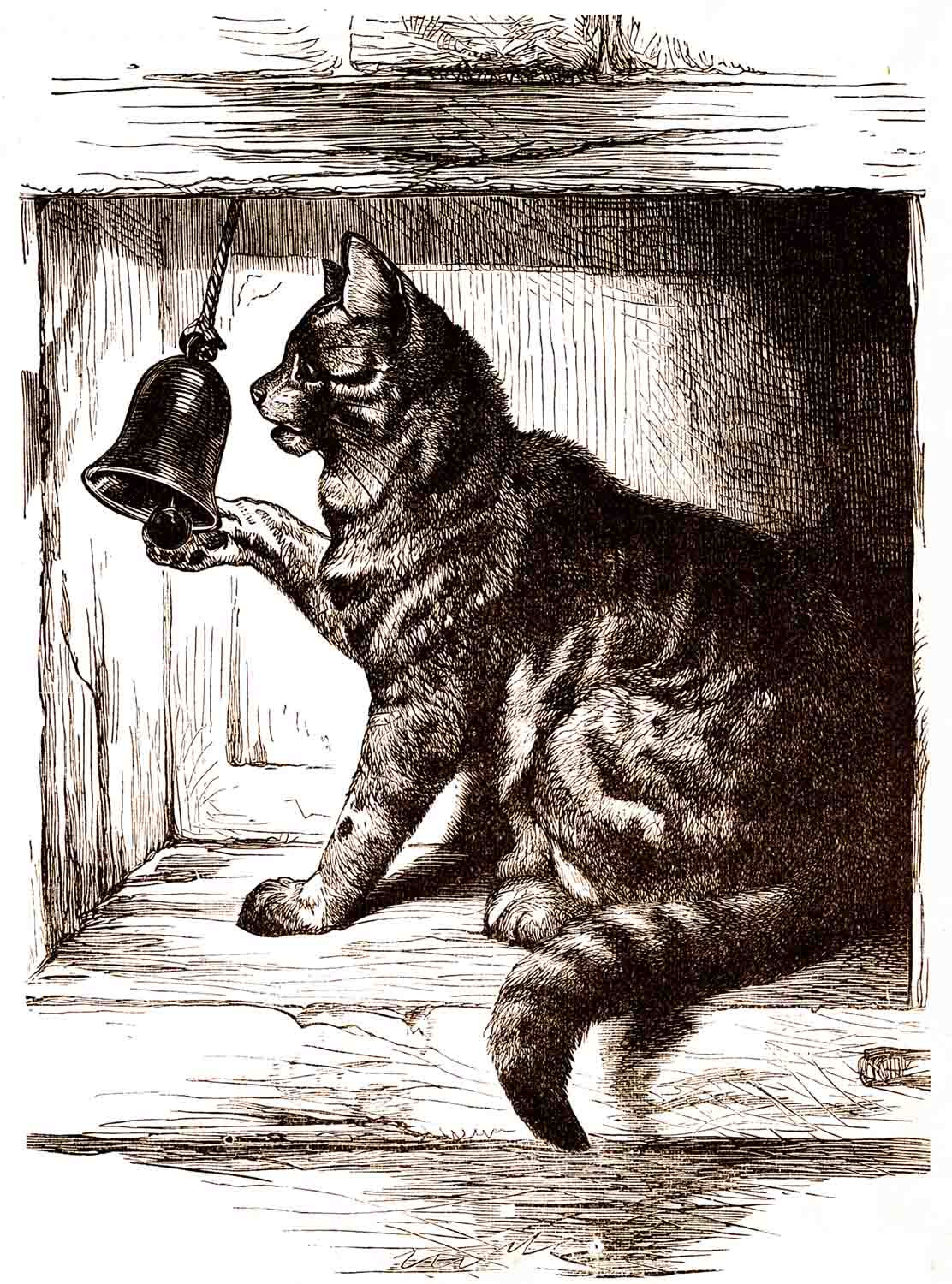 Cat Rings Bell Web