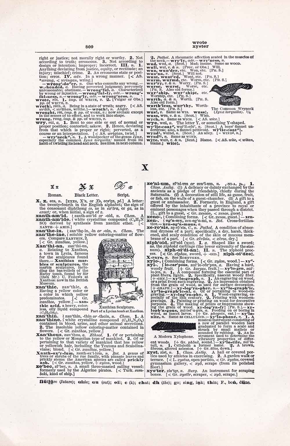 Dictionary Page Letter X Fwd809 Web