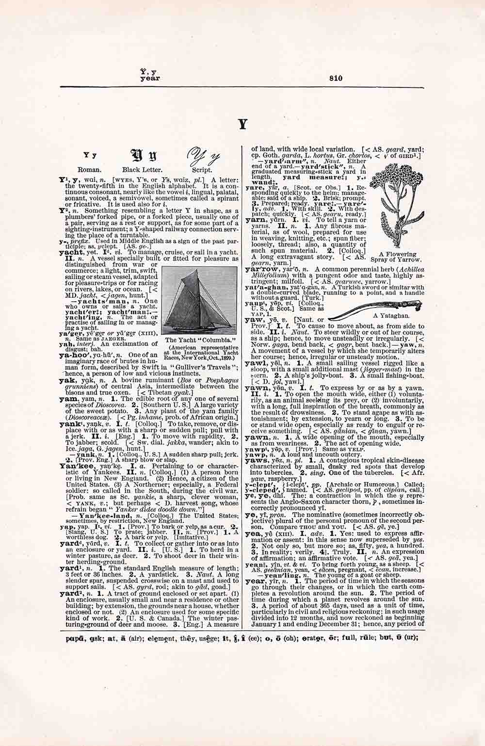 Dictionary Page Letter Y Fwd810 Web