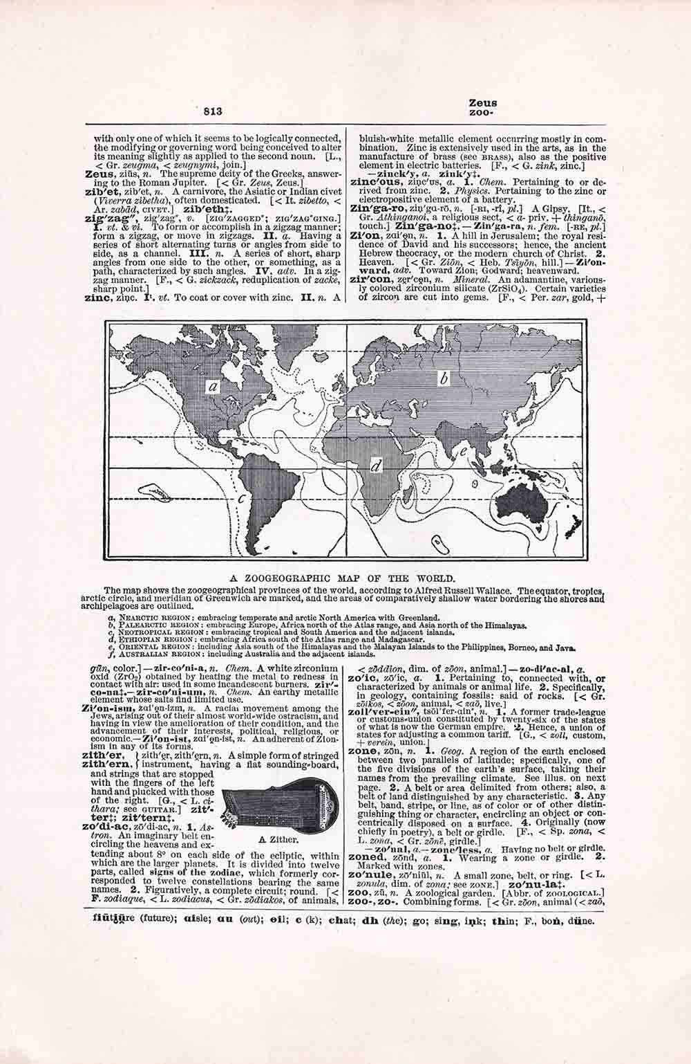 Dictionary Page Zeus Zoo Fwd813 Web