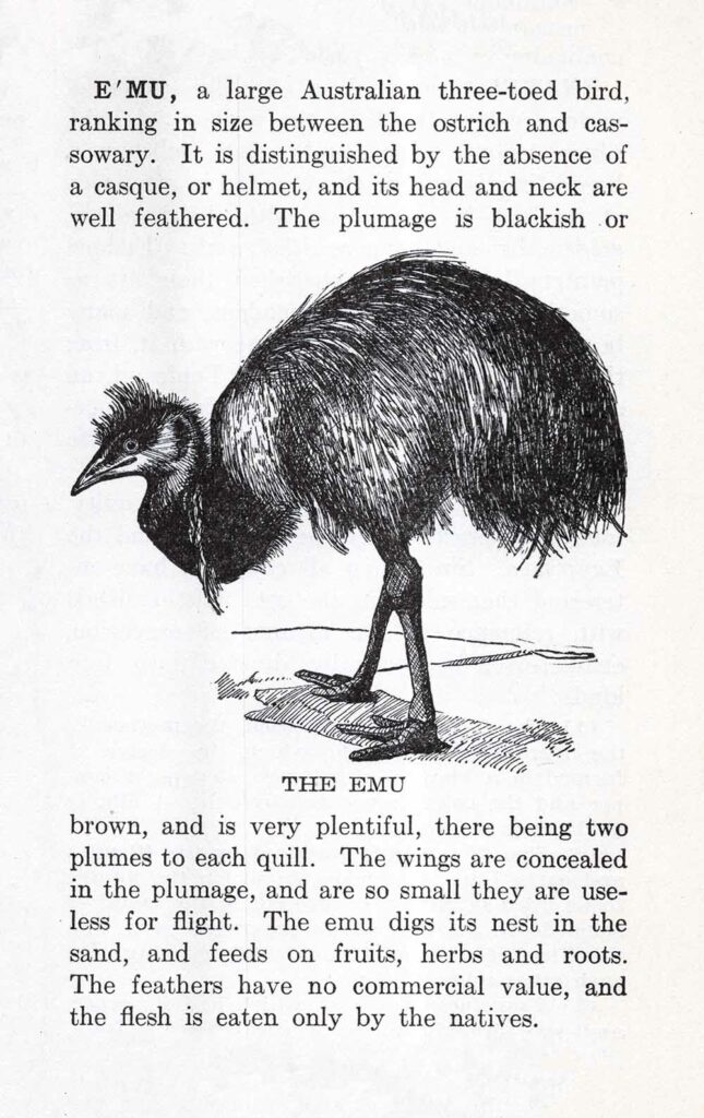 Emu Ephemera Web