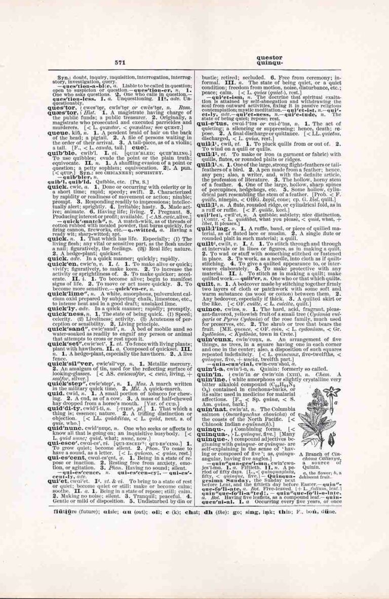 Questor Quinqu Dictionary Page Fw571