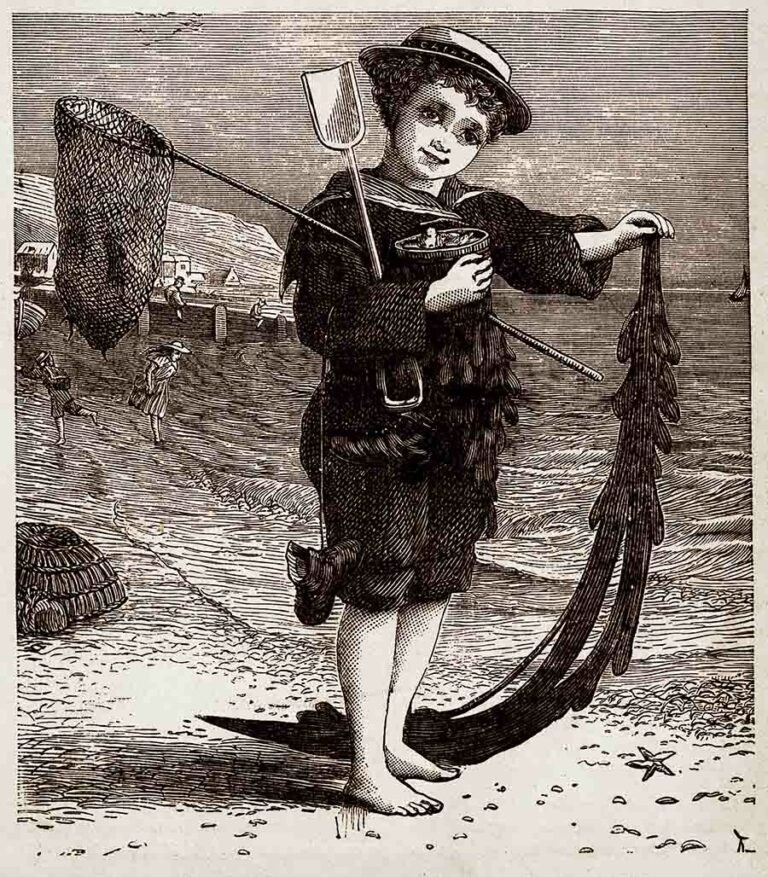 Victorian Boy Beach Web