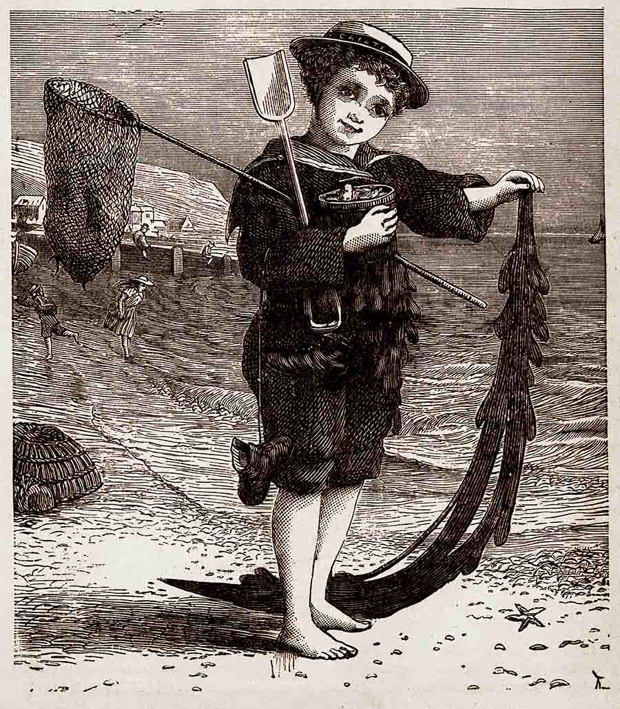 Victorian Boy Beach Web