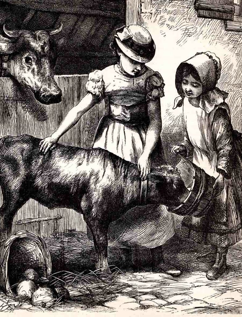 Victorian Girls Cow Web