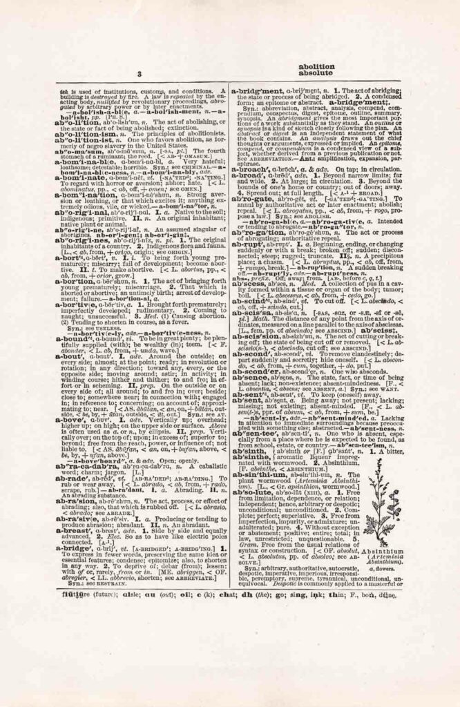 Vintage Dictionary Page Websize Fw3