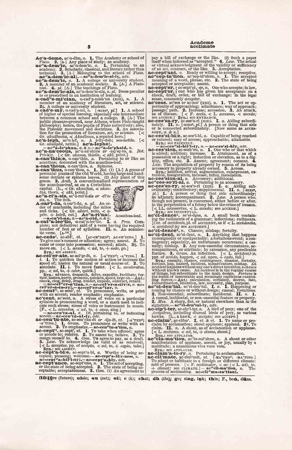 Vintage Dictionary Page Websize Fw5