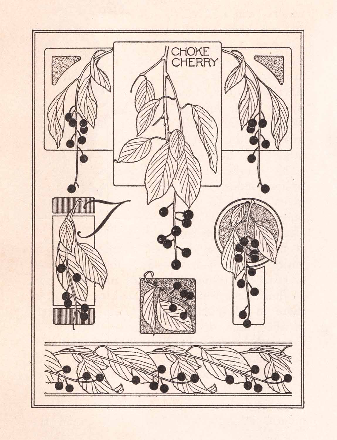 Choke Cherry Booklet Cover Design Web