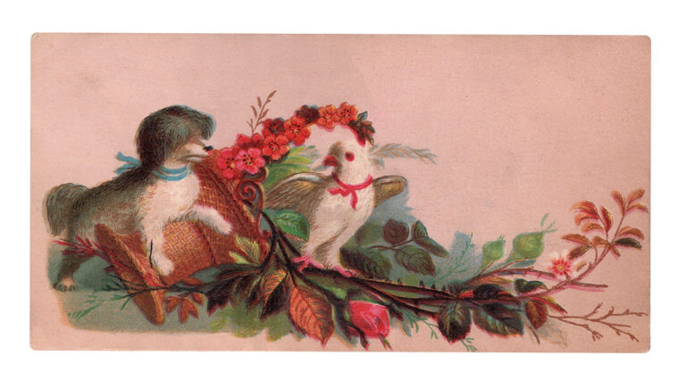 Dog Bird Postcard Web