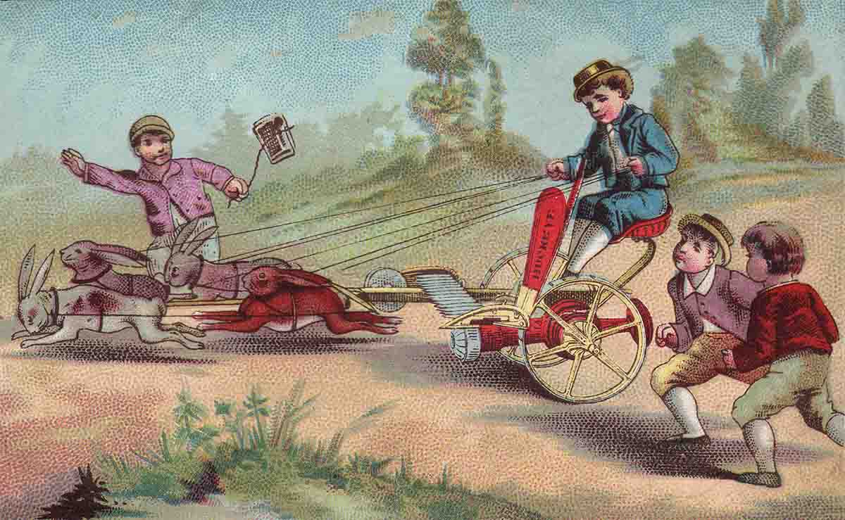 Rabbit Racers Web