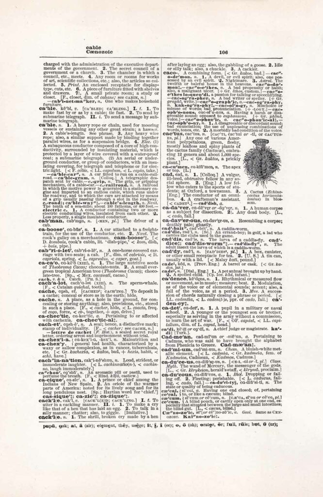 Vintage Dictionary Page Websize Fw106