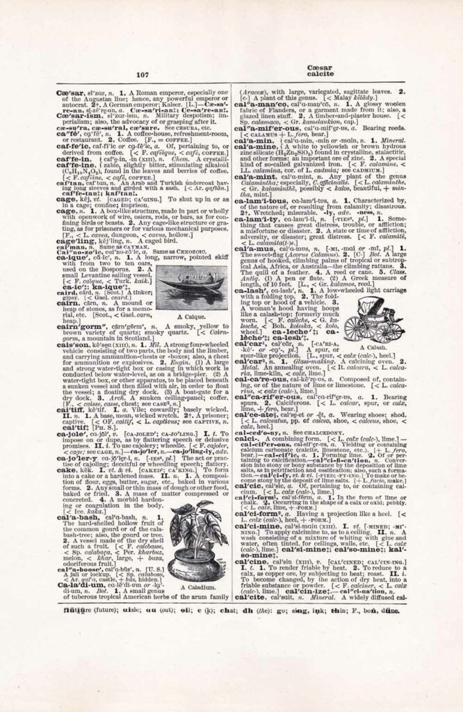 Vintage Dictionary Page Websize Fw107