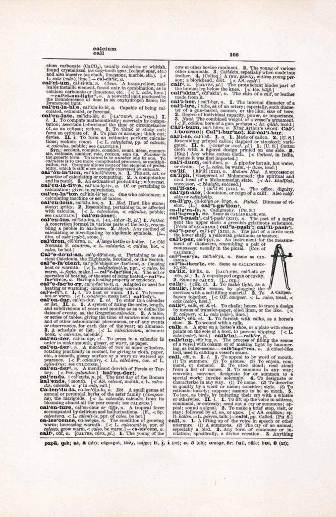 Vintage Dictionary Page Websize Fw108