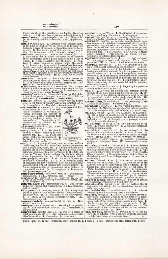 Vintage Dictionary Page Websize Fw110