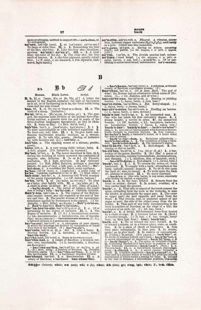 Vintage Dictionary Page Websize Fw57