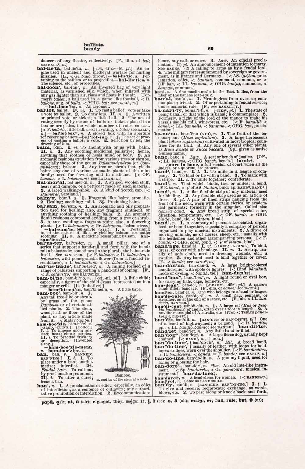 Vintage Dictionary Page Websize Fw60