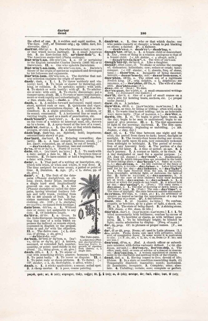 Vintage Dictionary Web 190