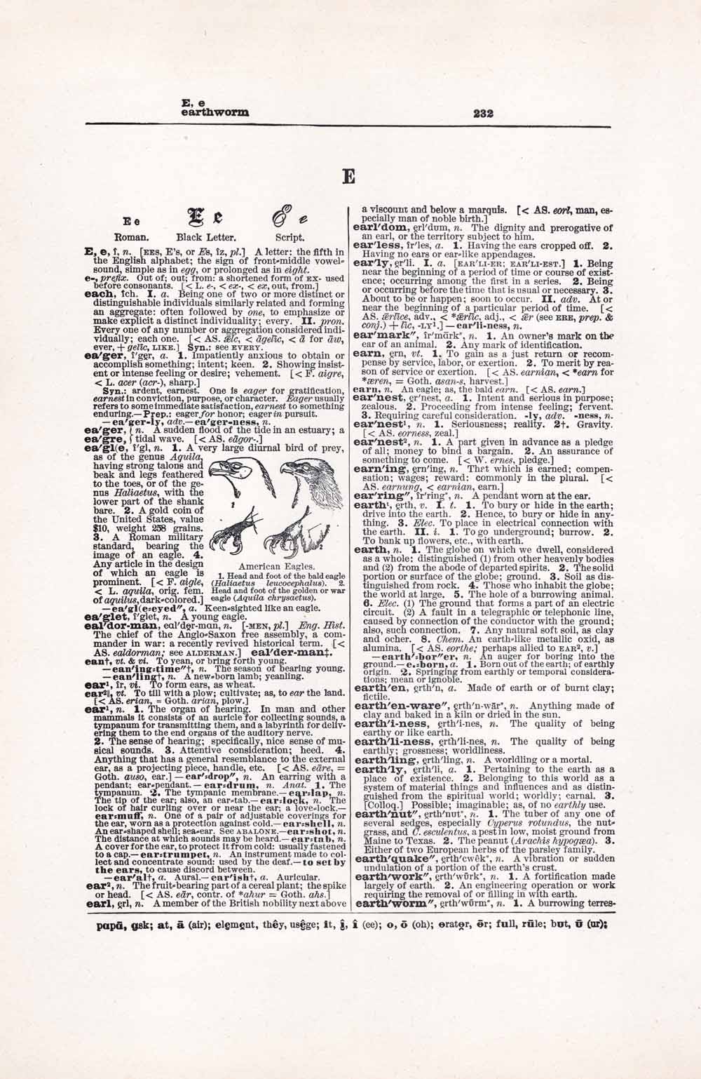 Vintage Dictionary Web 232