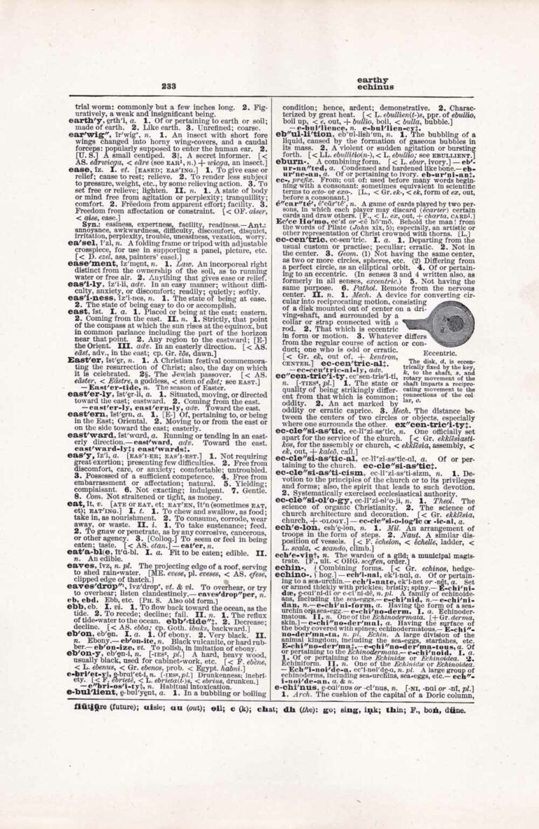 Vintage Dictionary Web 233