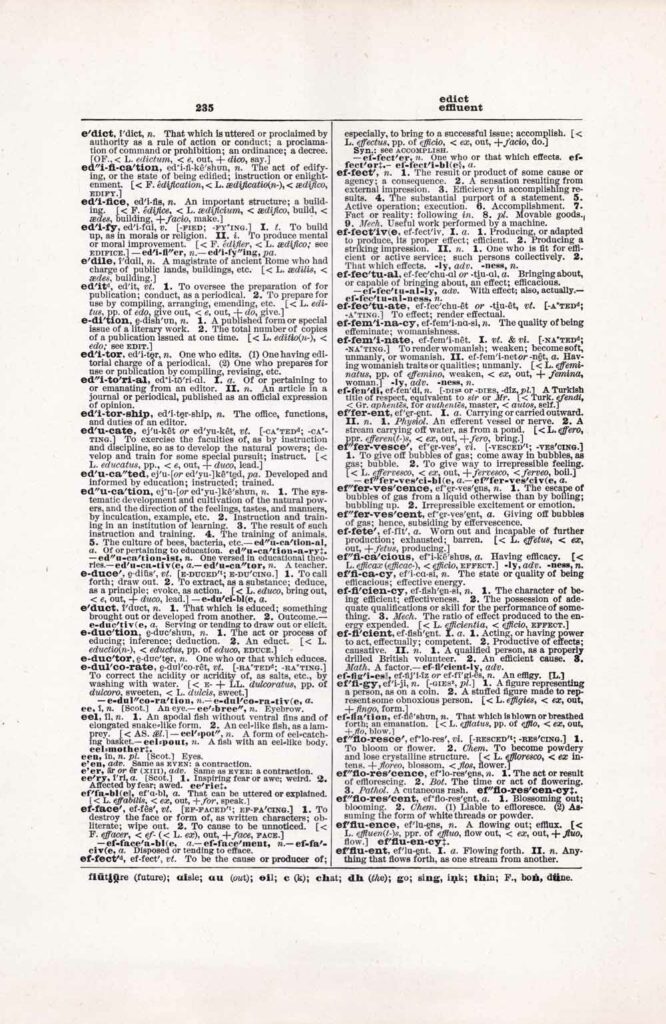 Vintage Dictionary Web 235